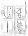 Fig. 02 - Controlling X-ray imaging based on target motion