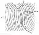 Fig. 01 - Method for identifying an unknown fingerprint by generating a numeric representation through interleaving digits
