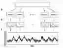 Fig. 01 - List Mode-Based Respiratory and Cardiac Gating in Positron Emission Tomography
