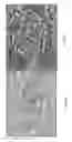 Fig. 04 - METHODS OF CHROMOGEN SEPARATION-BASED IMAGE ANALYSIS