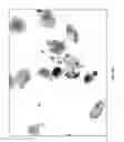 Fig. 12 - METHODS OF CHROMOGEN SEPARATION-BASED IMAGE ANALYSIS