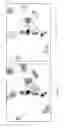 Fig. 14 - METHODS OF CHROMOGEN SEPARATION-BASED IMAGE ANALYSIS
