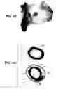 Fig. 06 - Identifying intrinsic pixel colors in a region of uncertain pixels