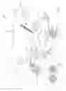 Fig. 02 - Coupler for excavators