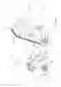 Fig. 15 - Coupler for excavators