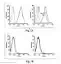 Fig. 09 - MELANOMA REPOPULATING CELLS