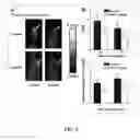 Fig. 06 - MULTIMODALITY MOLECULAR IMAGING WITH THERAPEUTIC CONJUGATES