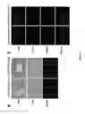 Fig. 07 - MULTIMODALITY MOLECULAR IMAGING WITH THERAPEUTIC CONJUGATES