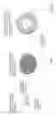Fig. 02 - BLEOMYCIN PREPARATION FOR USE AGAINST SKIN TUMOURS