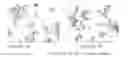 Fig. 01 - ICE-STRUCTURING PEPTIDES OF LACTIC ORIGIN