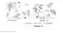 Fig. 03 - ICE-STRUCTURING PEPTIDES OF LACTIC ORIGIN