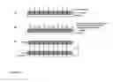 Fig. 02 - NANOSTRUCTURED COMPOSITES