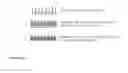 Fig. 06 - NANOSTRUCTURED COMPOSITES