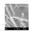 Fig. 01 - Fibrous ceramic material and method for making the same