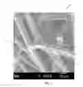 Fig. 02 - Fibrous ceramic material and method for making the same