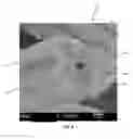 Fig. 07 - Fibrous ceramic material and method for making the same