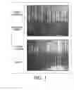 Fig. 02 - Photoreceptor protective overcoat layer including silicone polyether and method of making same