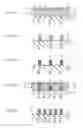 Fig. 02 - POSITIVE-WORKING RADIATION-SENSITIVE COMPOSITION AND METHOD FOR RESIST PATTERN FORMATION USING THE COMPOSITION