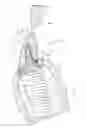 Fig. 01 - IMPLANT HAVING A CORE