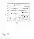 Fig. 09 - IMPLANT HAVING A CORE