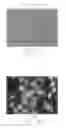 Fig. 08 - Fluorescent dyes and compounds, methods and kits useful for identifying specific organelles and regions in cells of interest