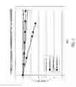 Fig. 02 - Process for immobilization of protein catalysts, product, and use