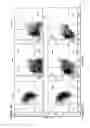 Fig. 02 - METHODS OF STIMULATING EXPANSION OF HEMATOPOIETIC STEM CELLS