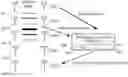 Fig. 01 - WIRELESS-RESOURCE BROKER