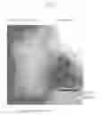 Fig. 02 - Automobile exhaust gas purification catalyst and method of production of same