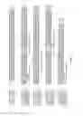 Fig. 02 - Libraries of recombinant chimeric proteins