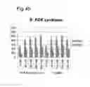 Fig. 06 - SYNERGISM OF GOS AND POLYFRUCTOSE