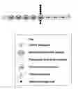 Fig. 01 - Biological Materials and Uses Thereof