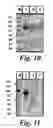 Fig. 16 - Biological Materials and Uses Thereof