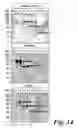 Fig. 19 - Biological Materials and Uses Thereof