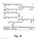 Fig. 23 - Biological Materials and Uses Thereof