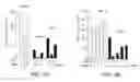 Fig. 06 - COMPOSITIONS AND METHODS FOR MODULATING POLY(ADP-RIBOSE) POLYMERASE ACTIVITY