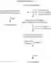Fig. 03 - Method for the separation of S-(−)-amlodipine from racemic amlodipine