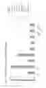 Fig. 04 - METHODS AND COMPOSITIONS FOR THE TREATMENT OF CANCER
