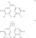 Fig. 08 - ANTI-TUMOR COMPOSITION