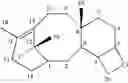 Fig. 05 - Convergent Process for the Synthesis of Taxane Derivatives