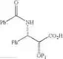 Fig. 08 - Convergent Process for the Synthesis of Taxane Derivatives