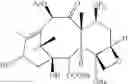 Fig. 09 - Convergent Process for the Synthesis of Taxane Derivatives