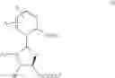 Fig. 17 - Convergent Process for the Synthesis of Taxane Derivatives