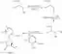 Fig. 22 - Convergent Process for the Synthesis of Taxane Derivatives