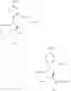 Fig. 44 - Convergent Process for the Synthesis of Taxane Derivatives