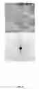 Fig. 09 - Method for removing radionuclides from a radioactive material
