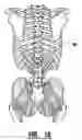 Fig. 11 - EMG electrode apparatus and positioning system
