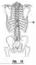 Fig. 13 - EMG electrode apparatus and positioning system