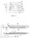 Fig. 12 - Systems and methods for detecting regions of altered stiffness