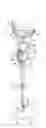 Fig. 01 - Walking assist device